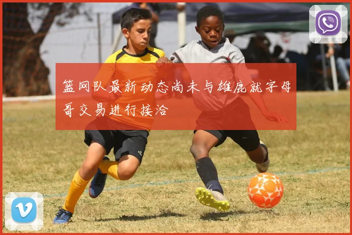 篮网队最新动态尚未与雄鹿就字母哥交易进行接洽